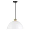 Gigi 1-Light Black + Aged Brass Pendant by Crystorama -Crystorama popular store black aged brass crystorama chandeliers gig 815 bk ag 64 1000