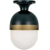 Capsule 1-Light Black Outdoor Flush Mount by Crystorama