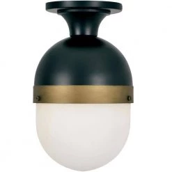 Capsule 1-Light Black Outdoor Flush Mount by Crystorama
